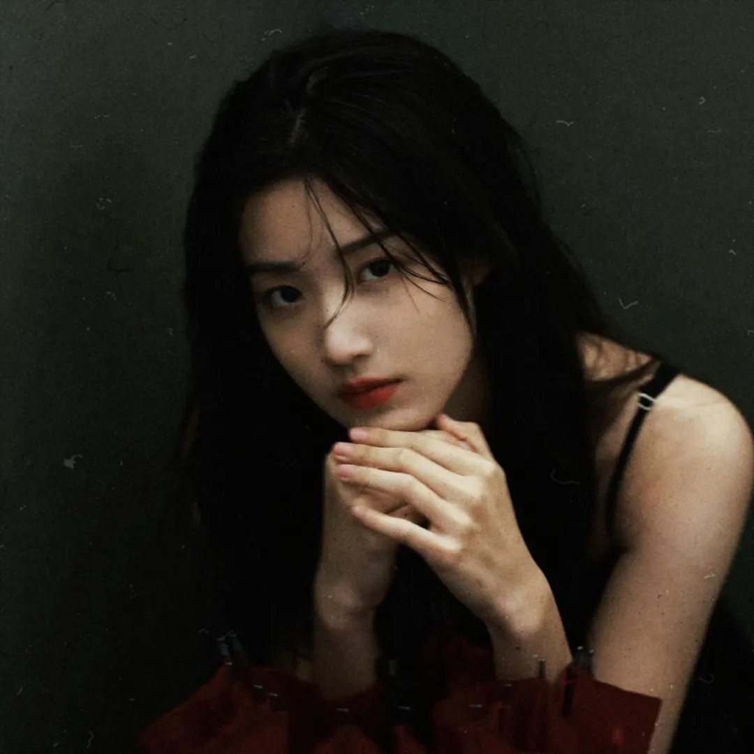 安妮日记：始末